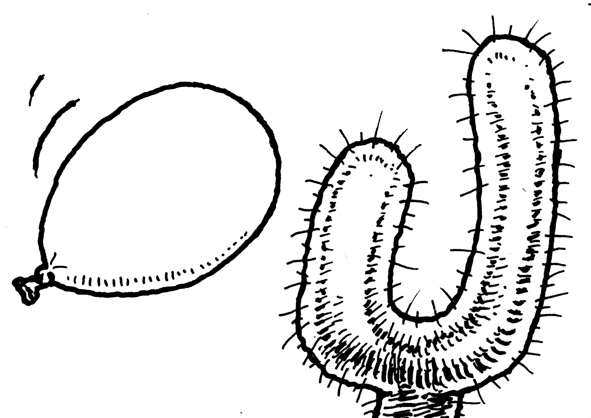 Cartoon image of balloon floating to a cactus plant