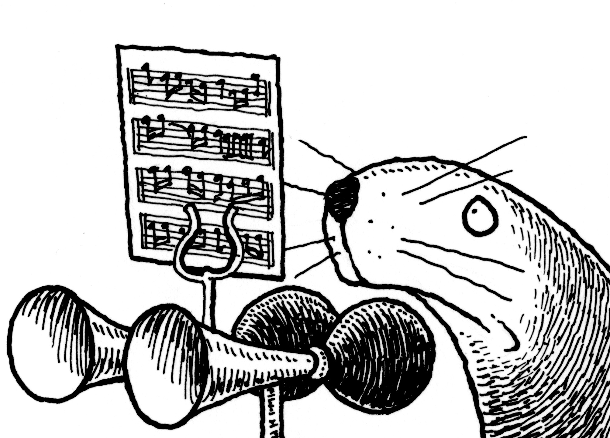 Cartoon of otter trying to read music and play old fashioned car horns