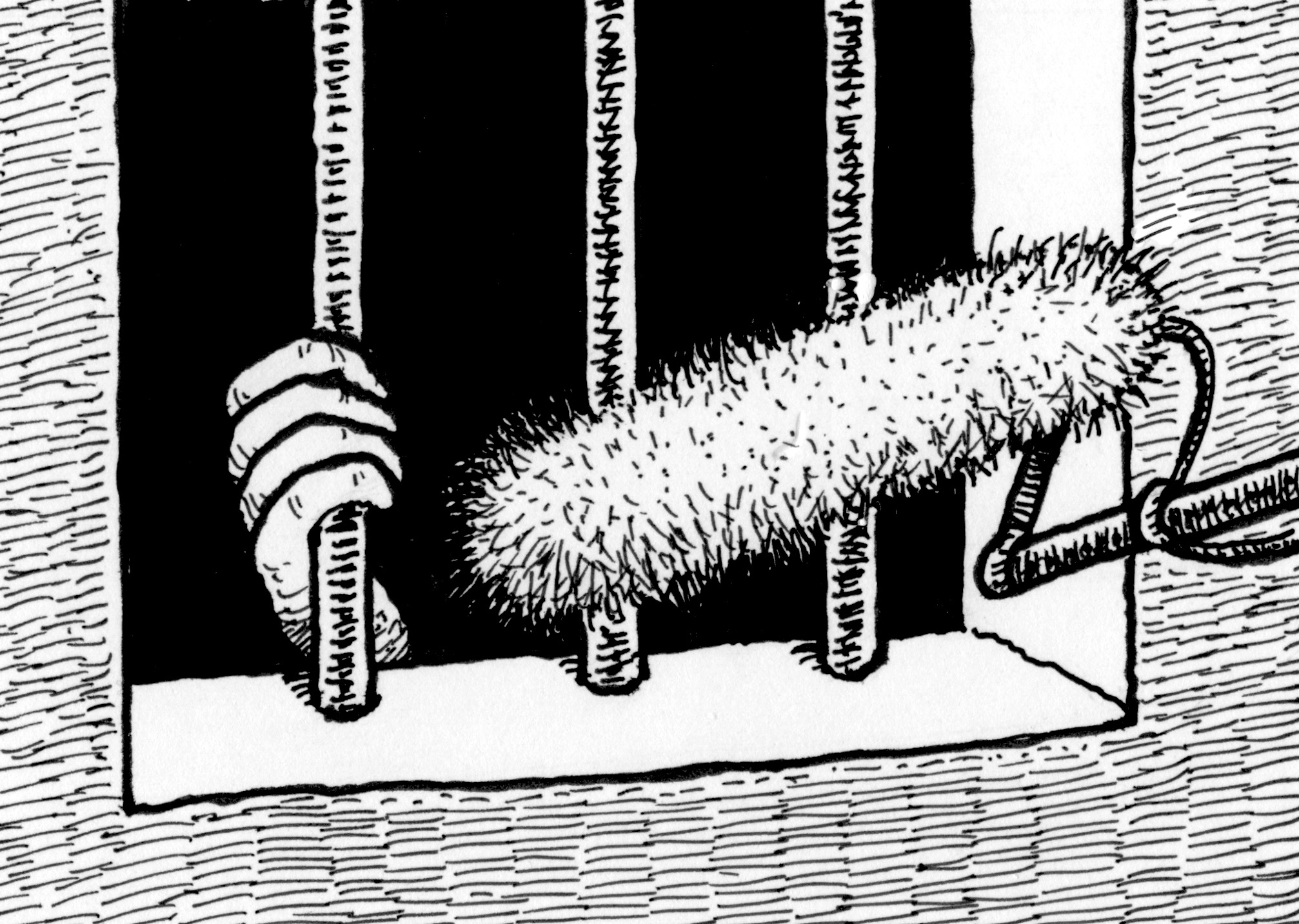 Cartoon image of an interview through prison bars