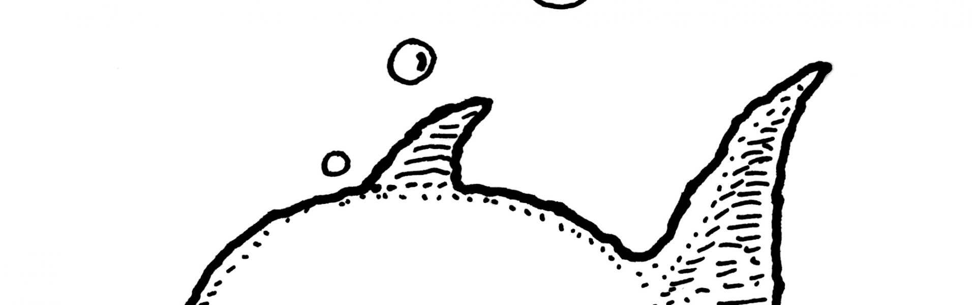 Cartoon image of a goldfish